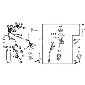 Wiring Harness And Lock Assy