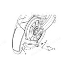 Rear Fender Assembly