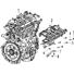 MANIFOLD, INTAKE