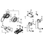 MOTOR STARTING, FLYWHEEL MAGNETO, ECU