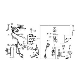 WIRING HARNESS & LOCK ASSY