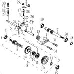 TRANSMISSION