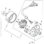 STATOR & FLYWHEEL