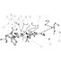 WIRING LOOM