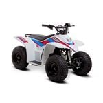 SMC Cub 50