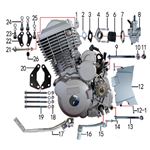 Engine & Carburetor