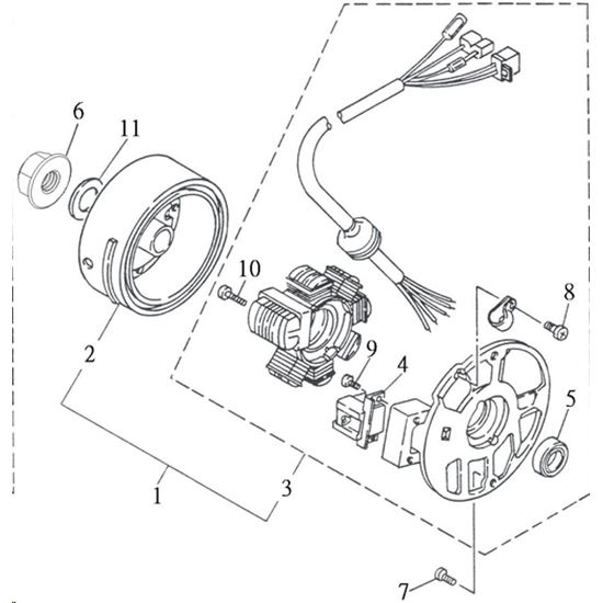 STATOR & FLYWHEEL