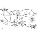 REAR BRAKE ASSY