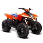 SMC Hornet 100