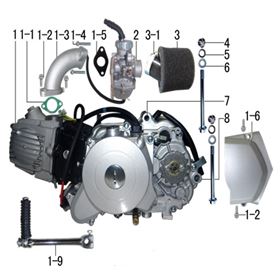 Engine & Carburetor