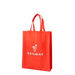 Segway Non-Woven Bag