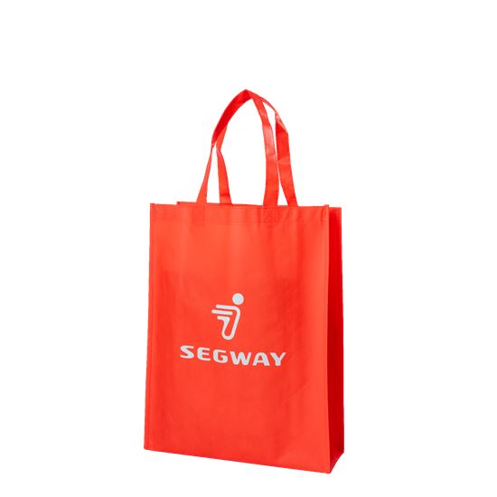 Segway Non-Woven Bag