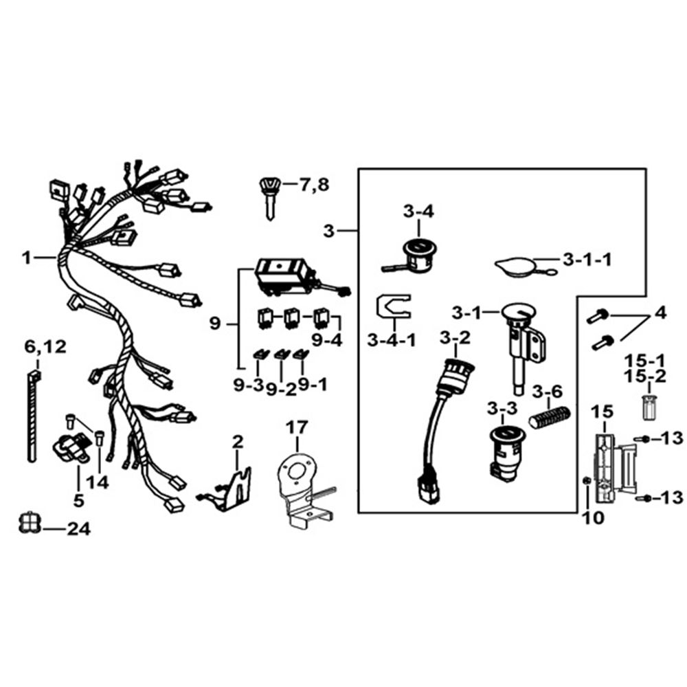 WIRING HARNESS & LOCKS