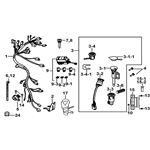 WIRING HARNESS & LOCKS