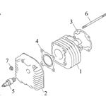 CYLINDER & HEAD