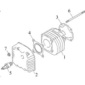 Cylinder & Head