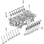 VALVE AND VALVE SPRING