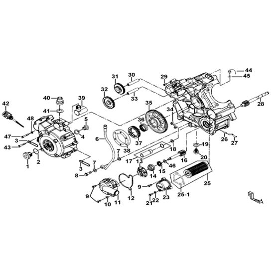 CRANKCASE RH