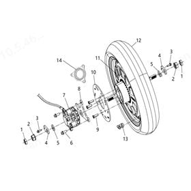 Rear Wheel Assembly
