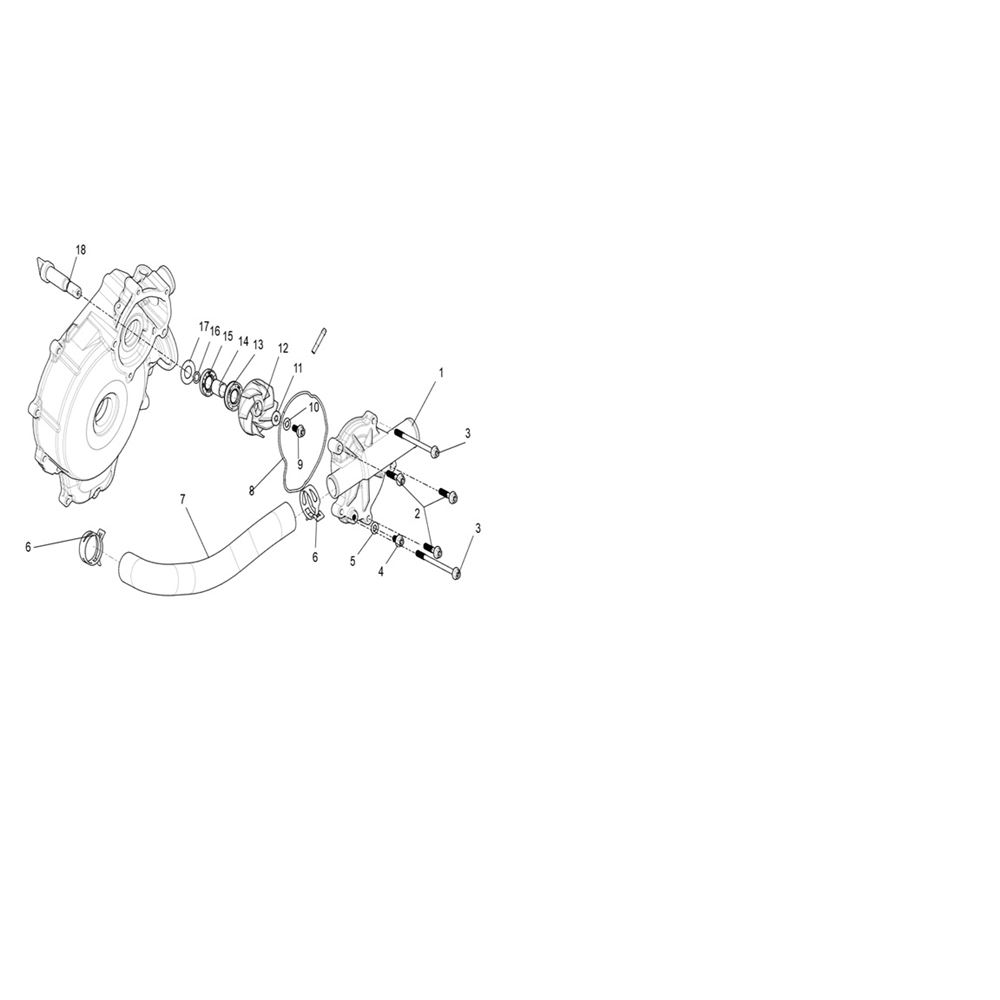 WATER PUMP ASSEMBLY