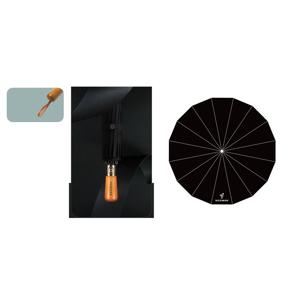 Segway Umbrella