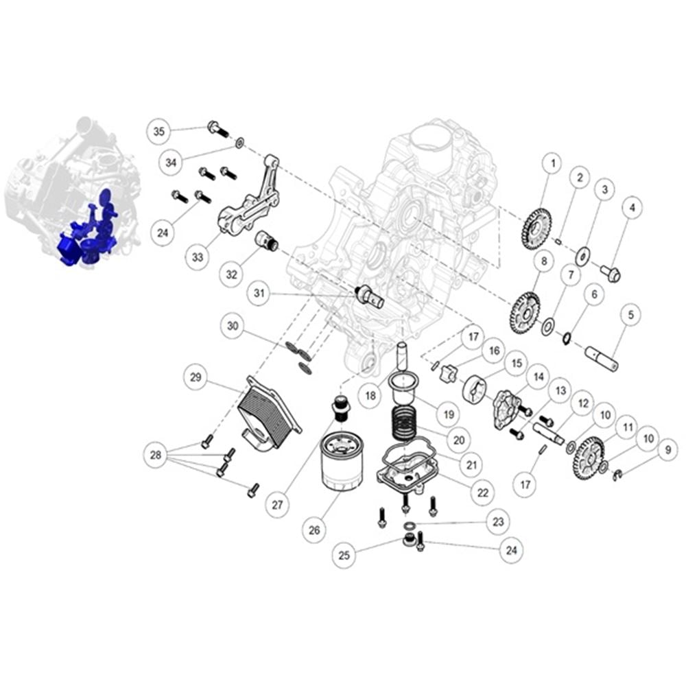 OIL PUMP DRIVE GEARS