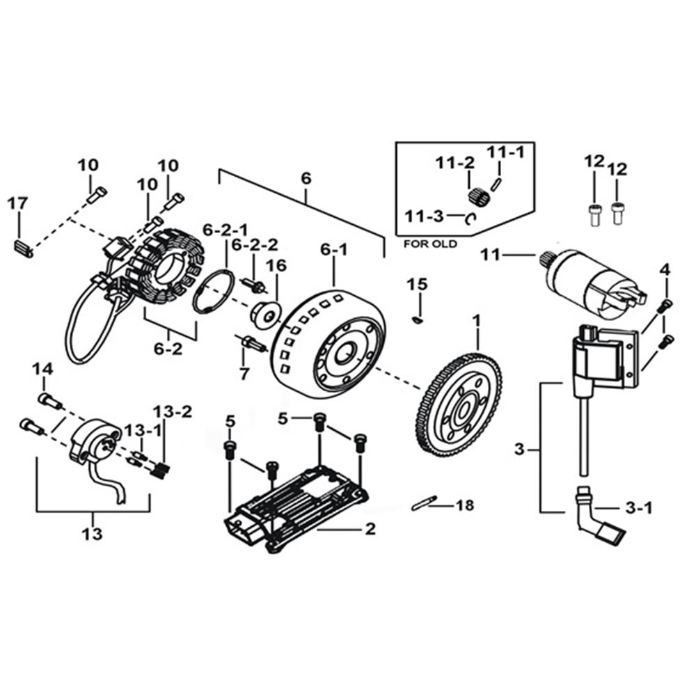 Starter. Magneto. Ecu. Coil