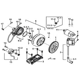 Starter. Magneto. Ecu. Coil