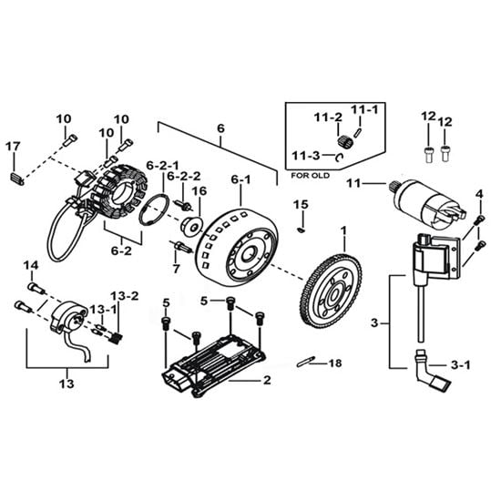 Starter. Magneto. Ecu. Coil