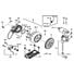 Starter. Magneto. Ecu. Coil