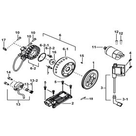 Starter. Magneto. Ecu. Coil
