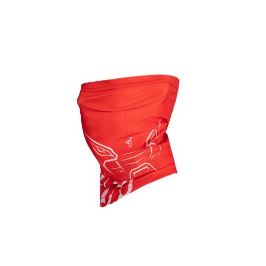 SCARF + MASK