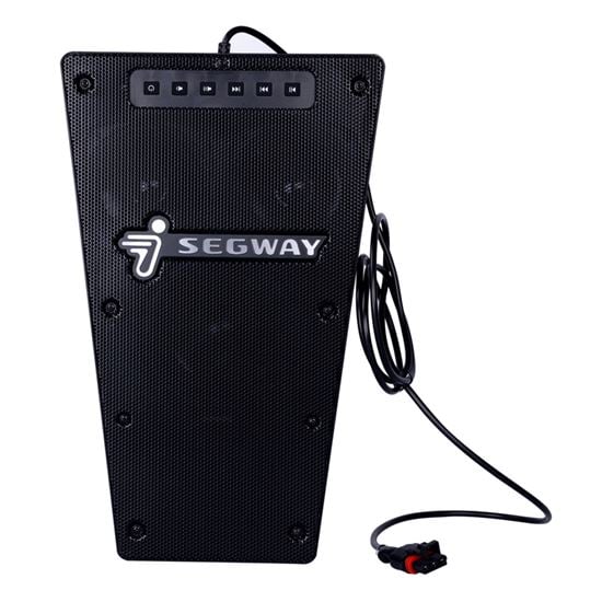 VILLAIN SPEAKER ASSY