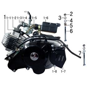 Engine & Carburetor