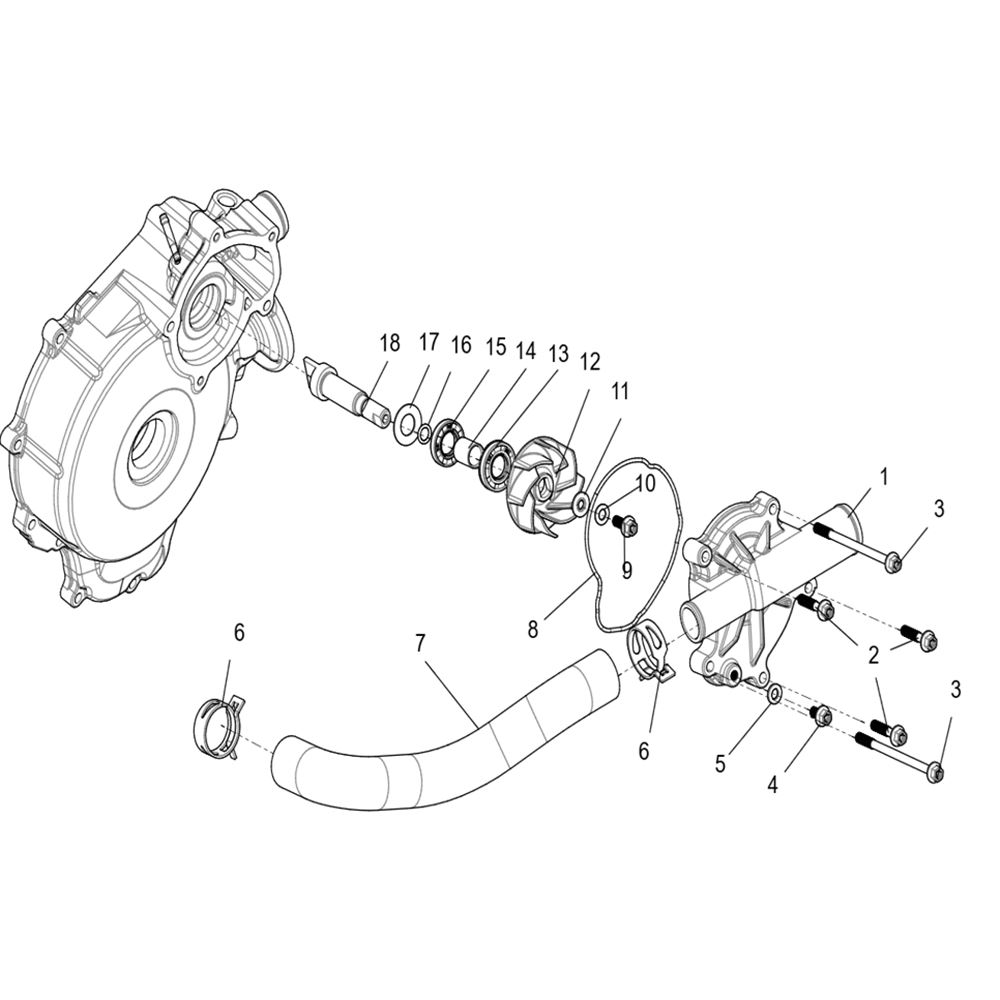 WATER PUMP ASSEMBLY