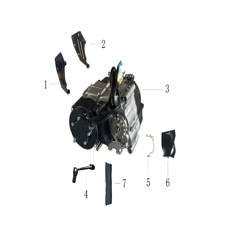 MOTOR