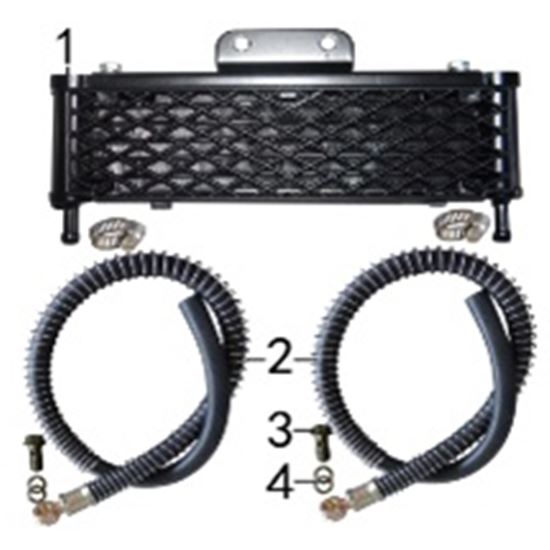 OIL COOLER