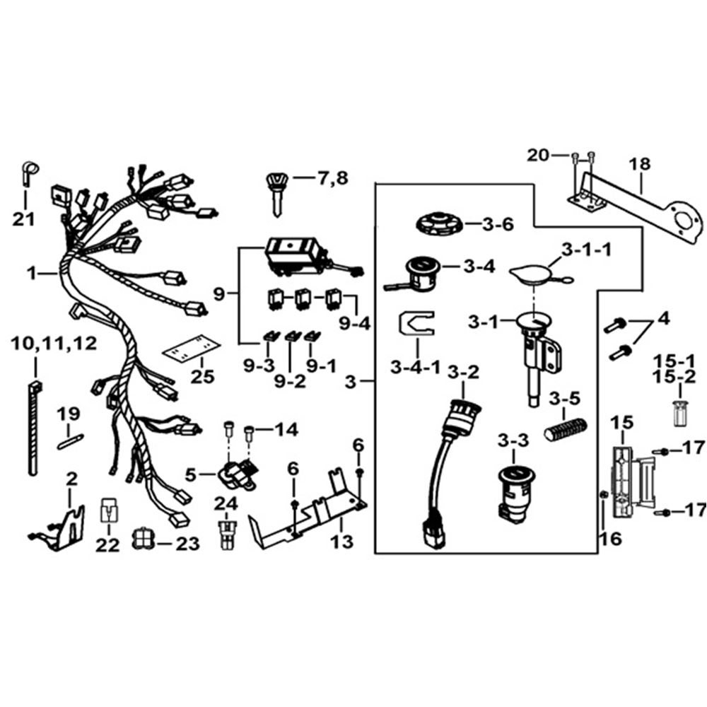 WIRING HARNESS & LOCKS