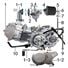 ENGINE & CARBURETOR