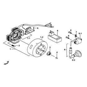Flywheel, Magneto, Coil, Cdi