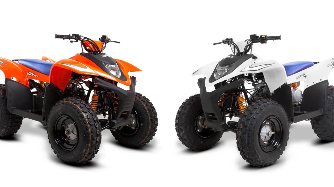 SMC Hornet 100