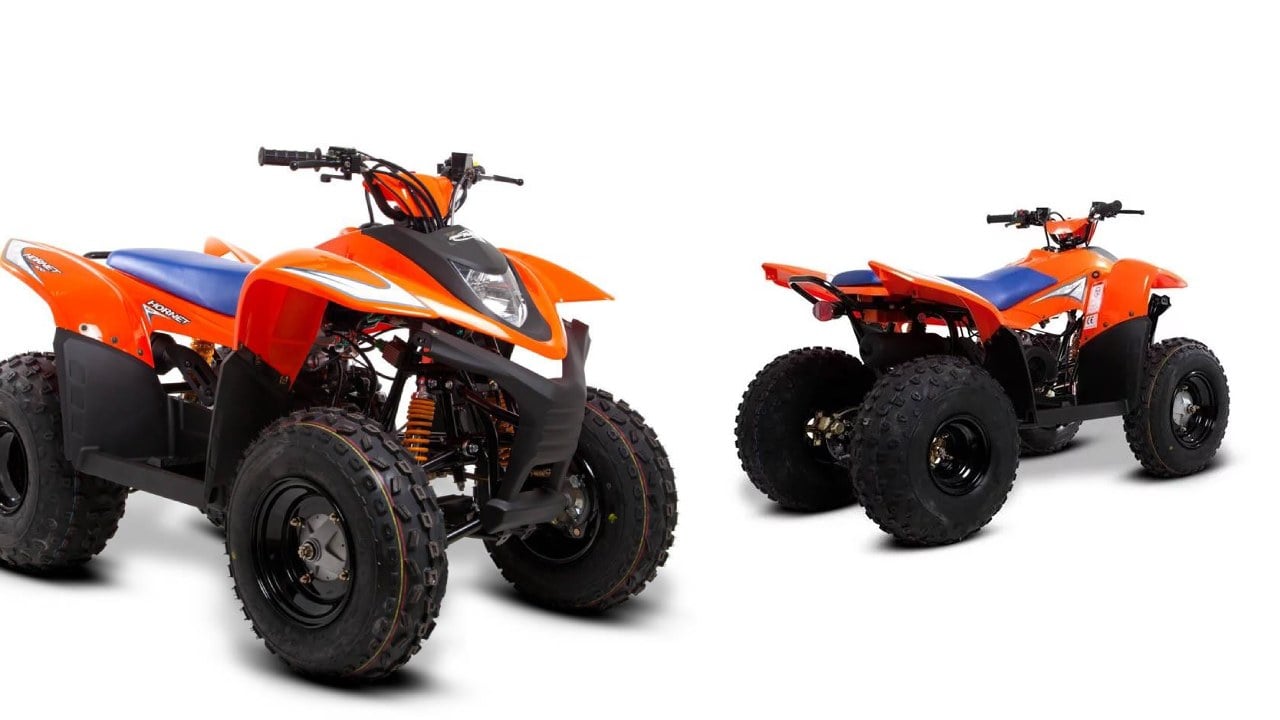 SMC Hornet 100